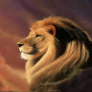 Meet your Posher, Leon